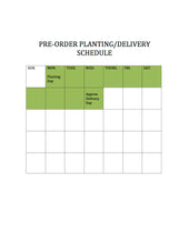 Load image into Gallery viewer, Micro Radish