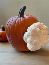 Load image into Gallery viewer, Mushroom Pumpkin Growkit
