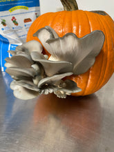 Load image into Gallery viewer, Mushroom Pumpkin Growkit
