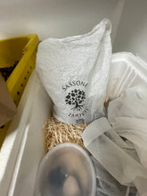 Load image into Gallery viewer, Black Summer Truffles(Tuber aestivum) ‘The Scorzone Truffle’ ***April-November***
